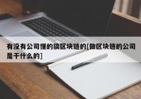 有没有公司懂的搞区块链的[做区块链的公司是干什么的]